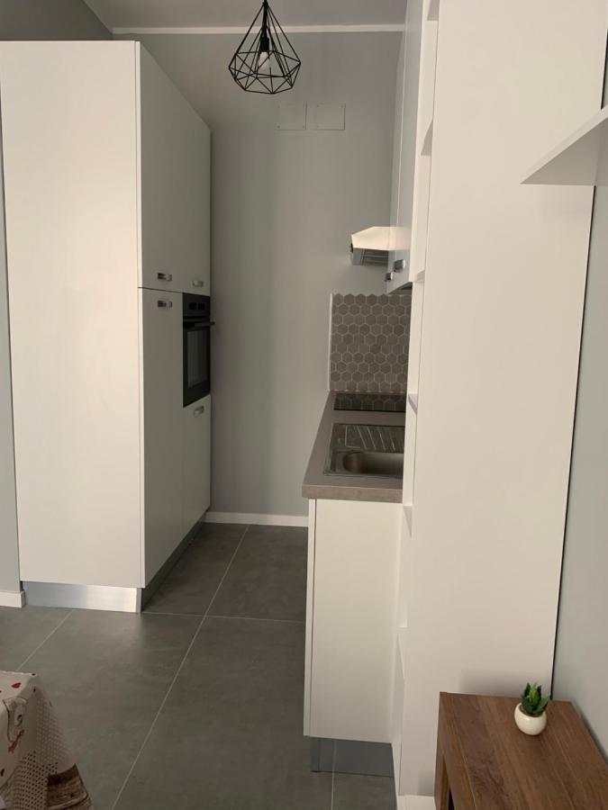 San Felice Apartment 博洛尼亚 外观 照片